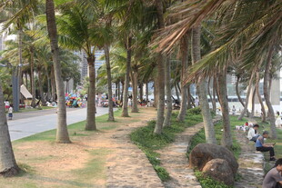 湛江海滨椰林旁的休闲场景