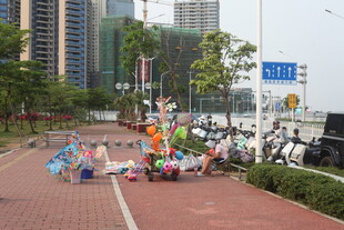 湛江城市道路上的多彩装饰物