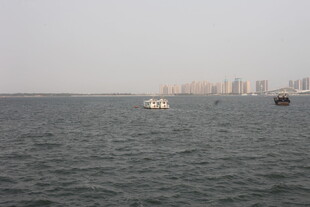 湛江海上远眺城市景观