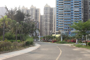 湛江城市道路旁的高楼与绿植
