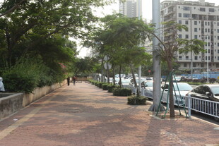 湛江城市河畔旁的休闲步行道