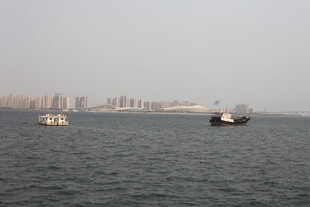 湛江海上船只与远处城市景观