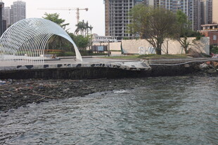 城市河畔景观