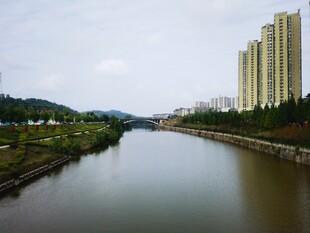 河畔高楼与宁静河水