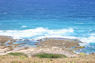 大海海浪