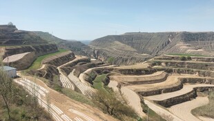 黄土梯田景观