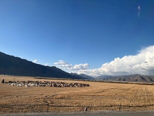 广袤原野的壮丽风光