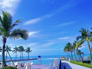 海滨泳池畔的椰树美景