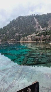 湖畔美景