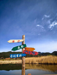 多彩方向路标指向远方