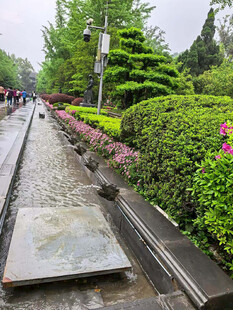 城市景观中的绿植与水景