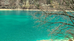 碧绿湖水美景