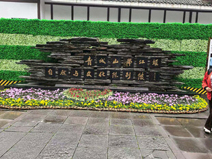 中式立体绿植景观墙