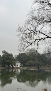 风景