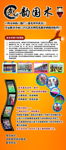 武术  宣传