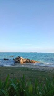 海边草地与礁石美景