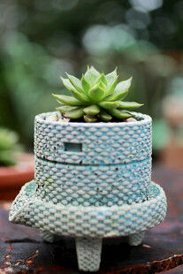 精致编织风多肉植物盆栽