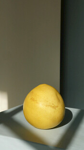 黄色圆球静物特写