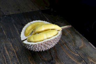 剥开的榴莲果肉展示