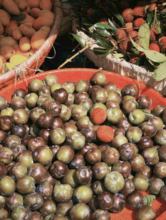 新鲜多彩果实待采摘