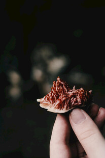 手持美味碎肉小食