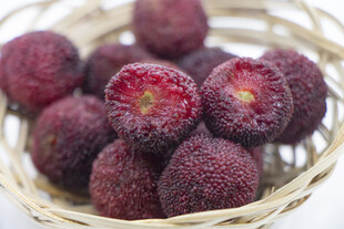 竹篮中的新鲜红杨梅