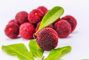 新鲜诱人的红杨梅与绿叶