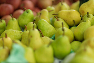 新鲜多样梨子水果展示