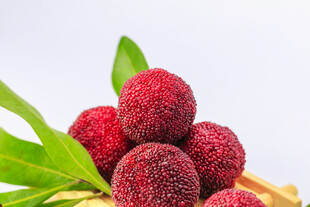 新鲜通红杨梅带绿叶