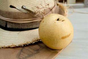 草帽旁的黄梨静物图