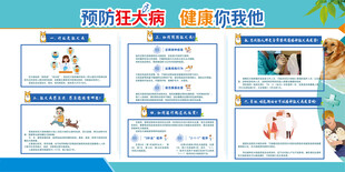 预防狂犬病 健康你我他