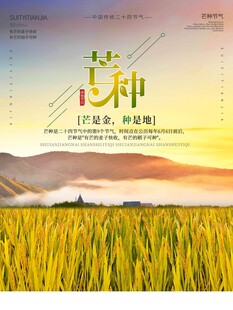 芒种 