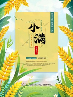 小满节气海报设计