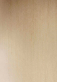 浅米色木纹背景纹理