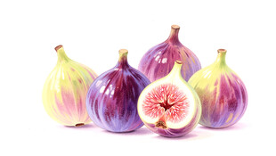 新鲜无花果静物展示