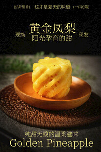 黄金凤梨水果宣传海报