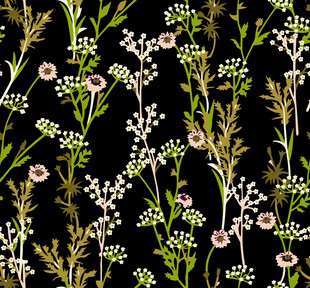 黑色背景上的手绘清新花卉