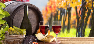 秋日美酒与葡萄场景