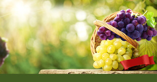 篮子里的多彩新鲜葡萄