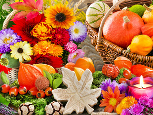 缤纷秋日花卉蔬果组合