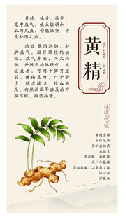 黄精介绍