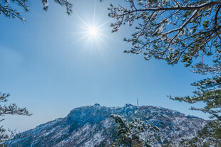 雪后山峦与阳光树枝美景