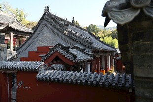 中式古建筑屋顶景致