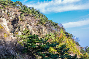 青山绿树间的秀丽山景