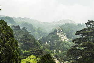 山峦翠林间的自然美景