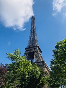 埃菲尔铁塔下的绿树蓝天