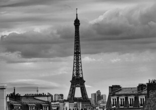 埃菲尔铁塔下的城市景观