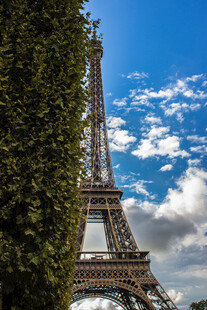 埃菲尔铁塔旁的葱郁绿植