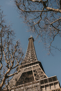 埃菲尔铁塔与枯树枝景
