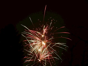 夜空中绚烂的烟花绽放